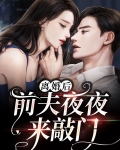 离婚后前夫夜夜求我复婚主角