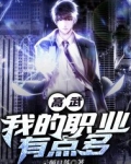高武我的职业有点多免费阅读