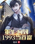 重生:回到1993当首富 小说