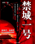 我想看禁城