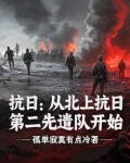 抗日从北上抗日第二先遣队开始小说