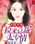 天降专宠：捡来总裁太钟情