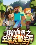 我的世界之全球无限生存TXT下载