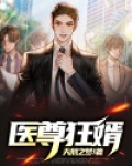 医尊狂婿叶辰