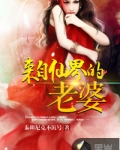 我的老婆来自仙界小说免费