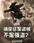网游:确定这是盗贼,不是强盗的小说