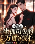 司少的闪婚妻