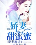 爱妻魔法：娇妻甜蜜蜜