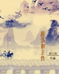 雁荡刺卫传 小说