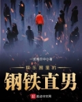 娱乐圈里的钢铁直男小说