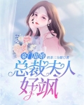 门婚豪门总裁夫人马甲掉光