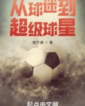 从球迷到超级球星小说在线阅读