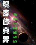 魂穿修真界：我的空间能藏娇