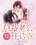 萌宝来袭:总裁老公太撩人 小说