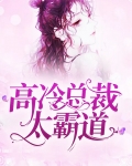 高冷总裁太霸道