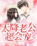 天降老公超会宠