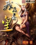 我为圣子