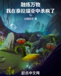 泰拉瑞亚熔岩镐