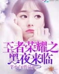 荣耀王者 夜黑羽 小说