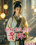 红楼之庶子贾环无弹窗全文免费阅读