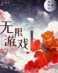 无限游戏,神明守则小说