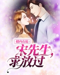婚内有诡：宋先生，求放过