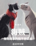 海贼：身为海军的我不务正业