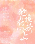 撞在他心上小说