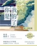 你是我的眼