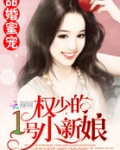 甜婚蜜宠:权少的1号小新娘