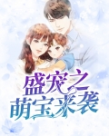 盛宠来袭小说