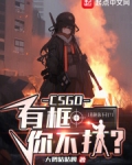 csgo标识框