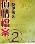 侦情档案二