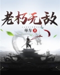 老朽无敌小说