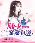 暖婚蜜爱:陆少宠妻有道
