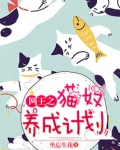 网王猫咪
