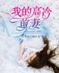 我的高冷前妻赵莉莉简介