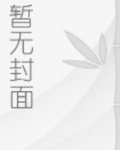 飞雪落红尘歌曲
