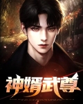 神婿武尊