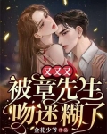 章先生就要被甩了剧透