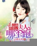 总裁追婚:夫人,哪里跑! 小说