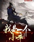 我是一个小卒