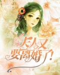 司少,夫人又要离婚辣!