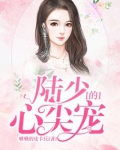 陆少的心尖宠