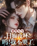桀骜军少日癫夜坏，呜！我不要了
