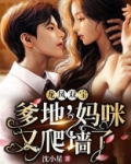 龙风双宝爹地妈咪又爬墙