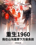重生在1960年代小说