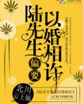 陆先生偏要以婚相许