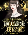 被六个哥哥团宠，前夫跪求我回家