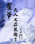 霍爷，夫人又在装傻了